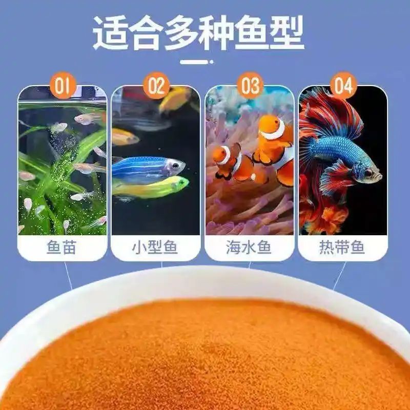 鱼缸养鱼知识全