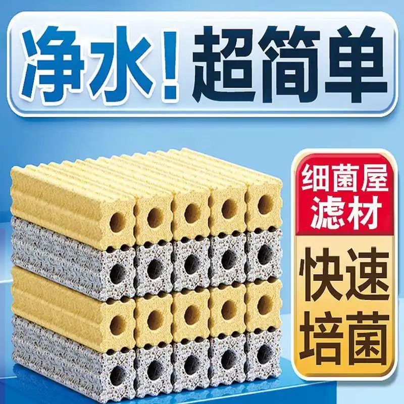 鱼缸养鱼知识全
