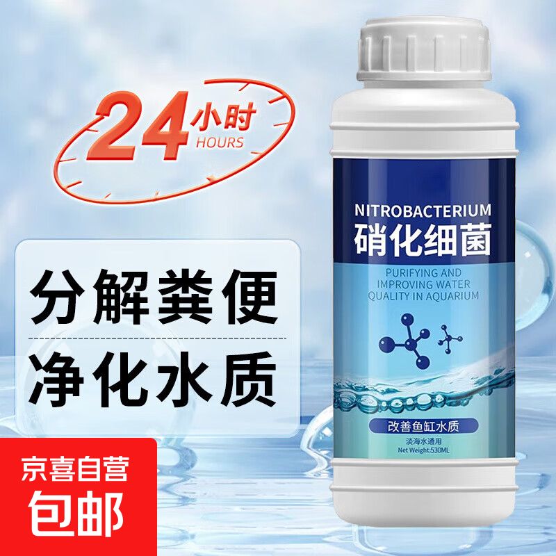 鱼缸养鱼知识全