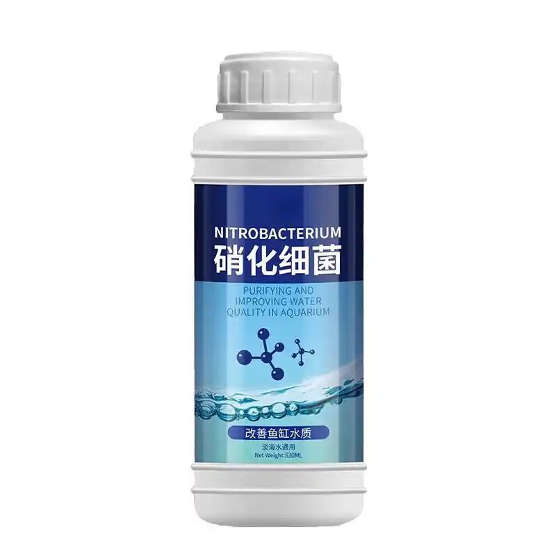 鱼缸养鱼知识全