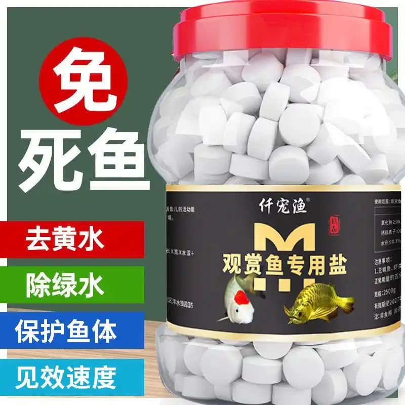 鱼缸养鱼知识全