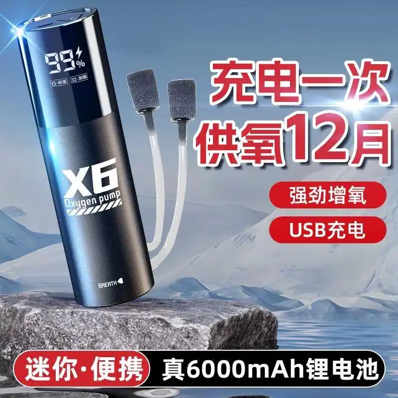 鱼缸养鱼知识全