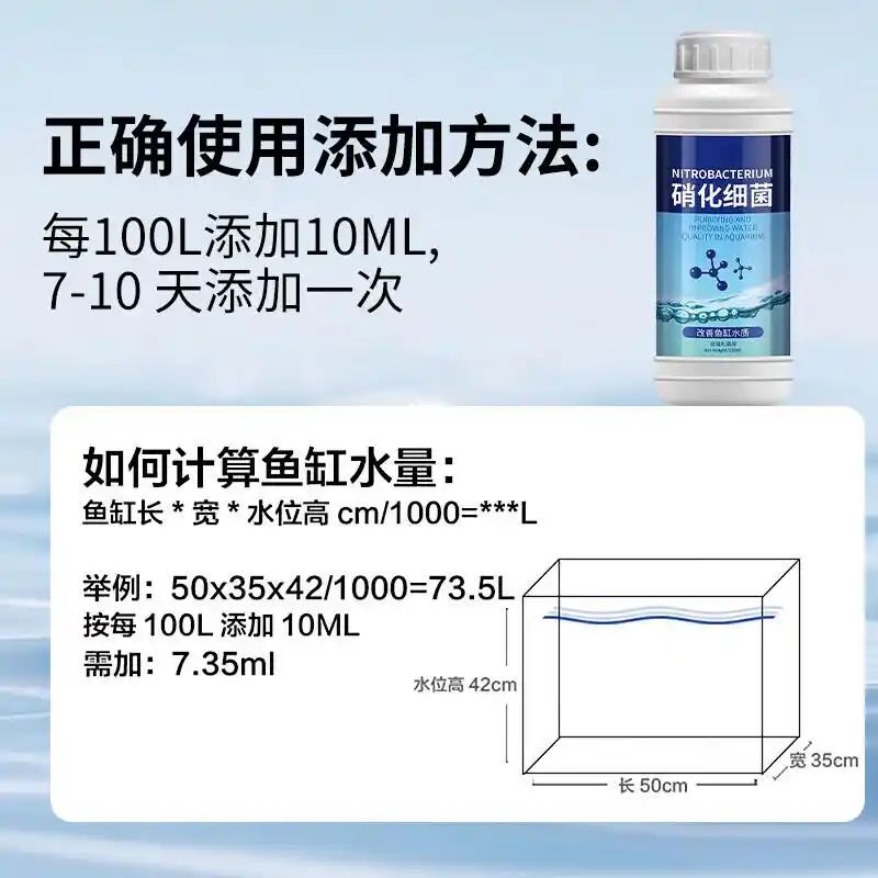 鱼缸养鱼知识全