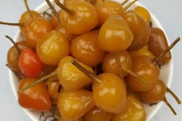 盆栽辣椒种植技术