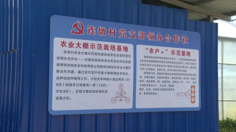 大棚西红柿种植技术视频