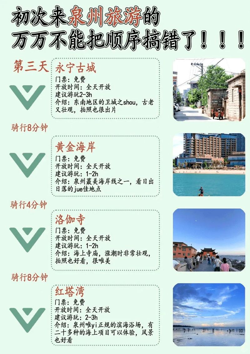 泉州seo顾问公司