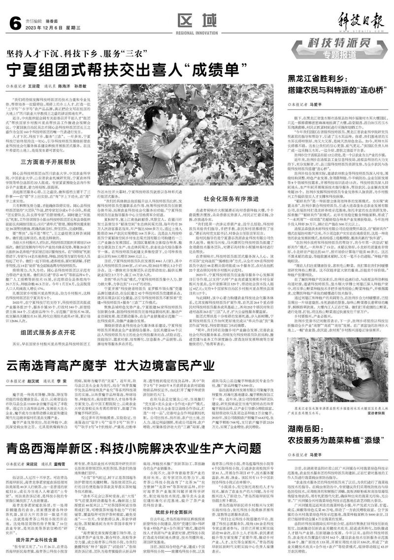 大白菜种植技术