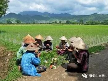 Rice prices in myanmar