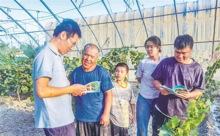 库尔勒香梨的种植技术