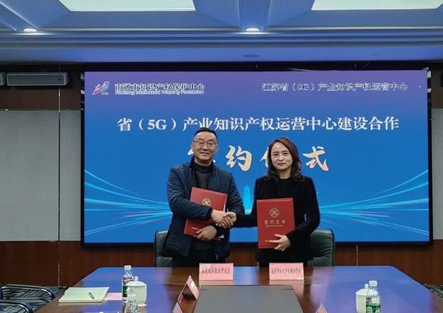 南京中标知识产权代理有限公司