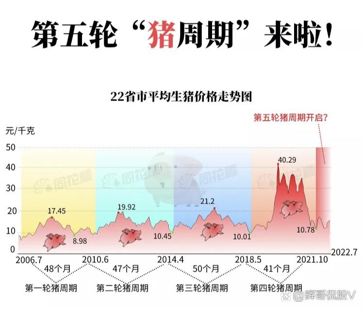 近期猪肉价格上涨原因