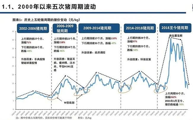 近期猪肉价格上涨原因