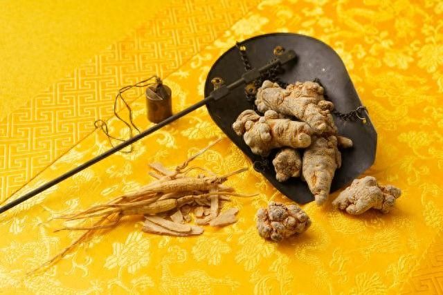 田七盆栽的种植方法