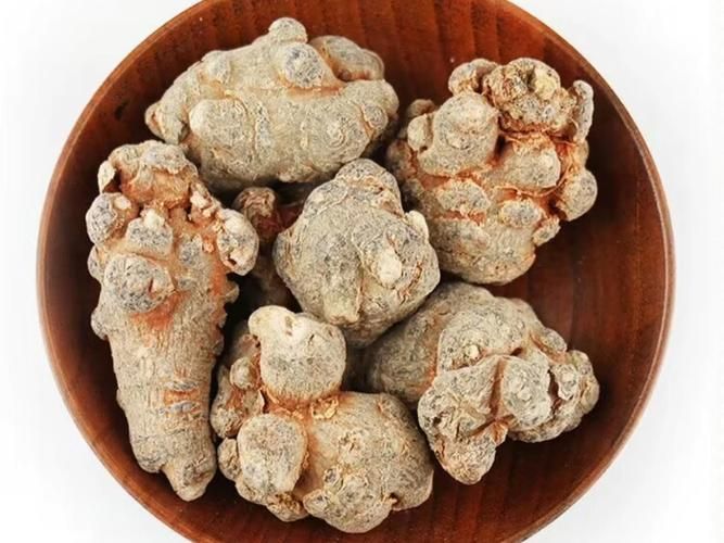 田七盆栽的种植方法