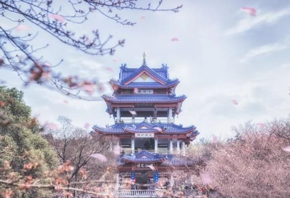 无锡seo
