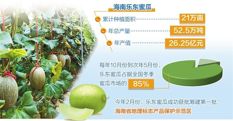 哈密瓜种植方法
