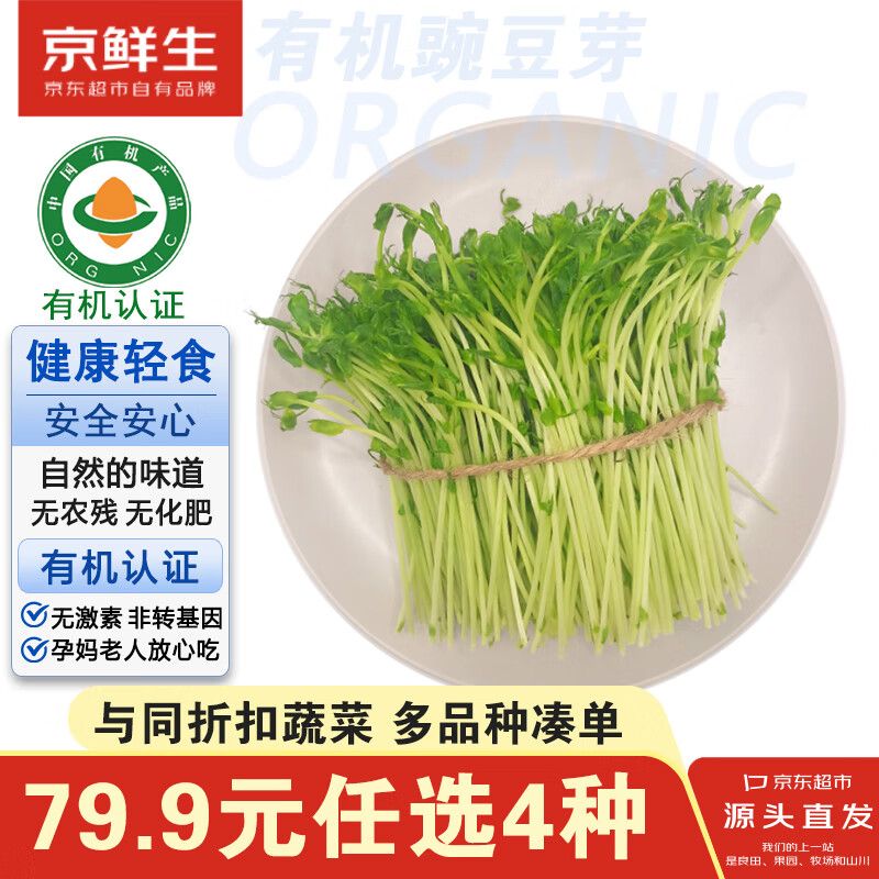 豌豆苗种植技术视频