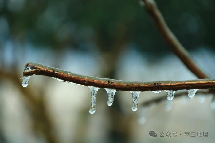 最能说明冻雨成因的是