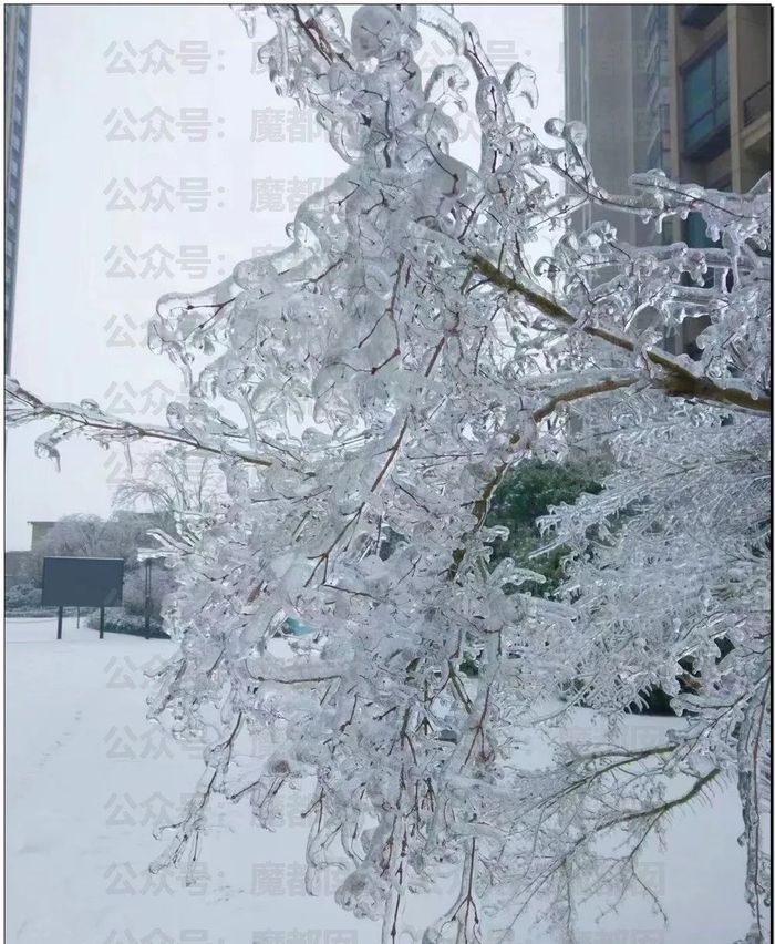 最能说明冻雨成因的是