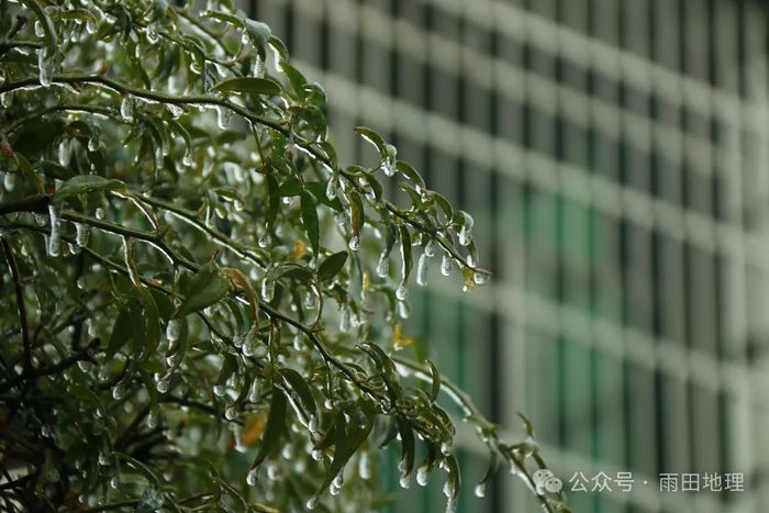 最能说明冻雨成因的是