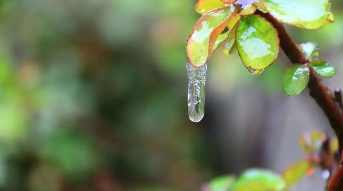 最能说明冻雨成因的是