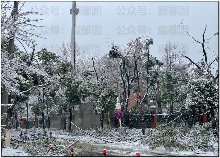 最能说明冻雨成因的是