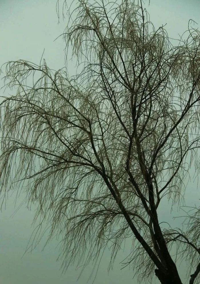最能说明冻雨成因的是