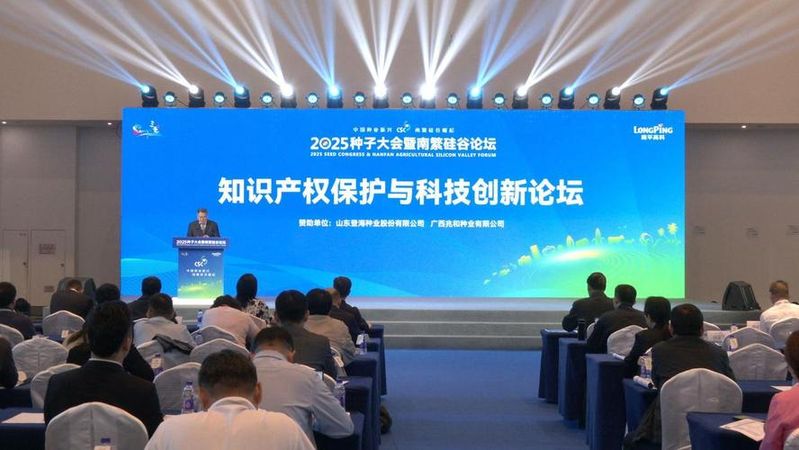知识产权管理规范下载