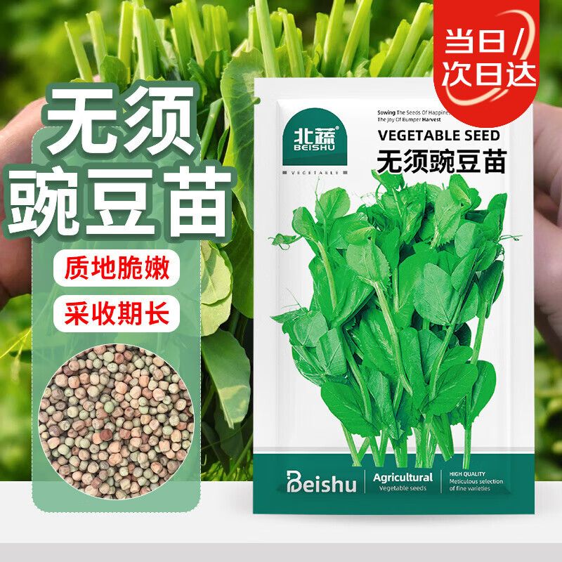豌豆苗种植技术视频