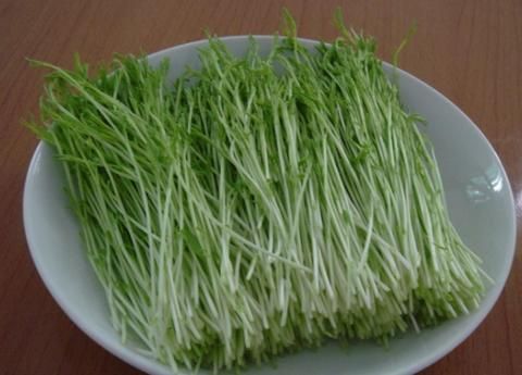 芽苗菜种植方法