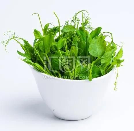 芽苗菜种植方法