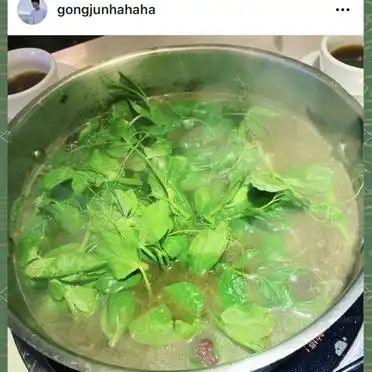豌豆苗种植技术视频