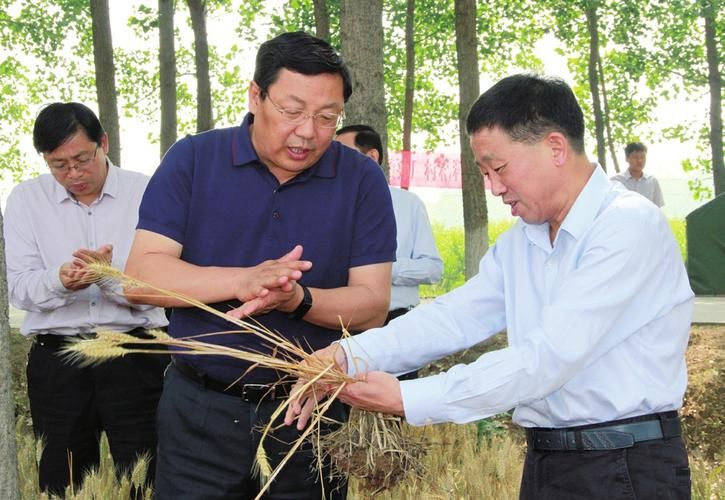 三门峡秸秆禁烧经验引关注