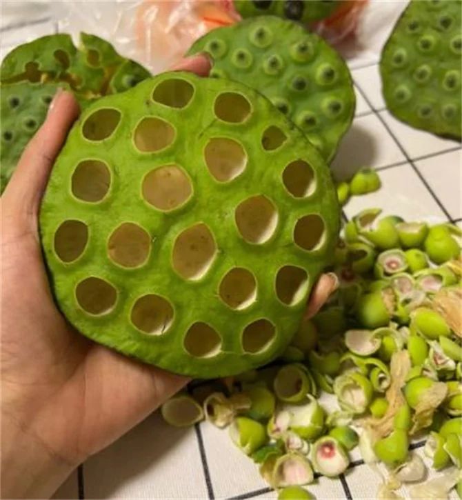 莲蓬子多少钱一斤