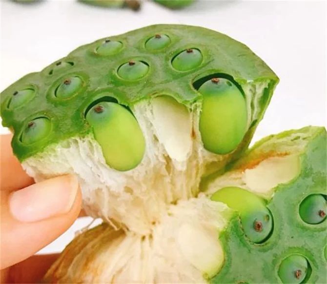 莲蓬子多少钱一斤