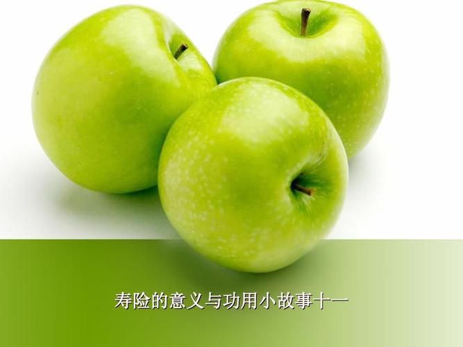 寿险的意义和功用