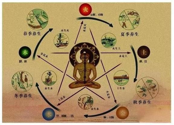 中医夏季养生知识