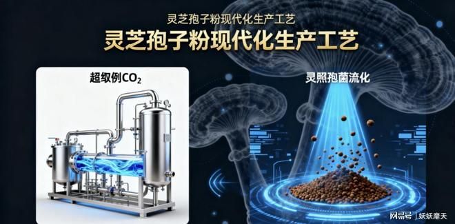 家庭灵芝的种植方法