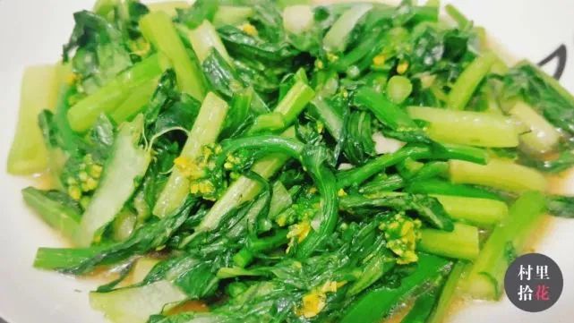 油菜心种植技术和管理