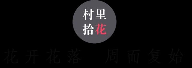 油菜心种植技术和管理