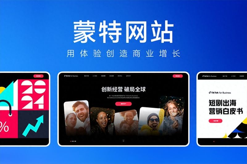 企业seo网站源码