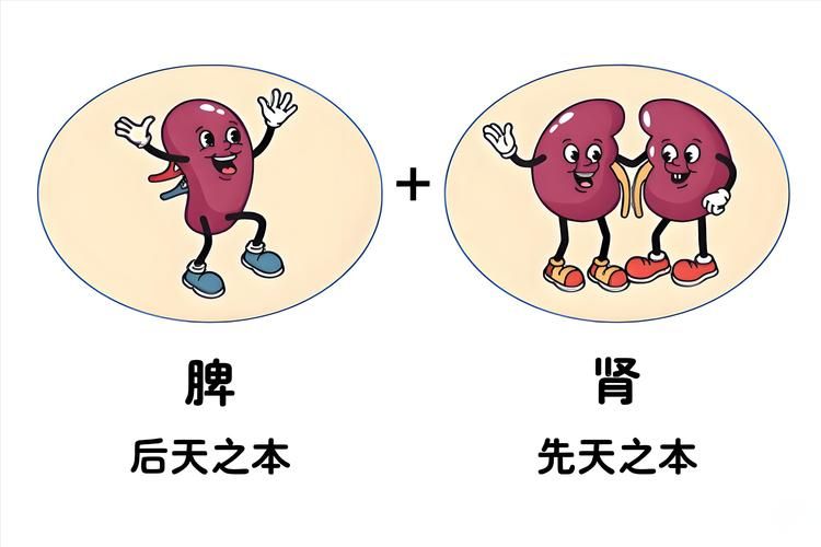 男性肾虚的治疗方法