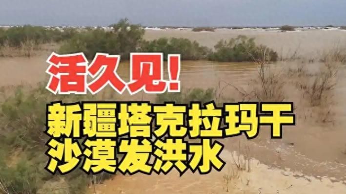 南美洲热带沙漠气候成因