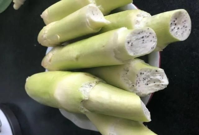 北方茭白种植技术