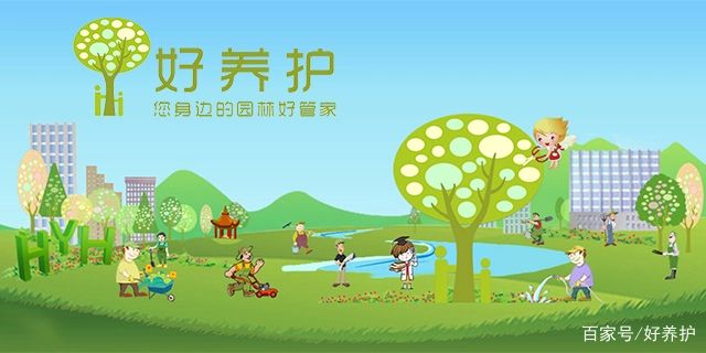 腊梅苗怎么种植方法