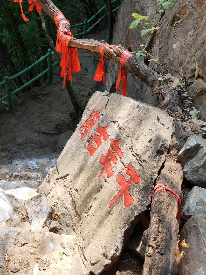 十渡蹦极多少钱