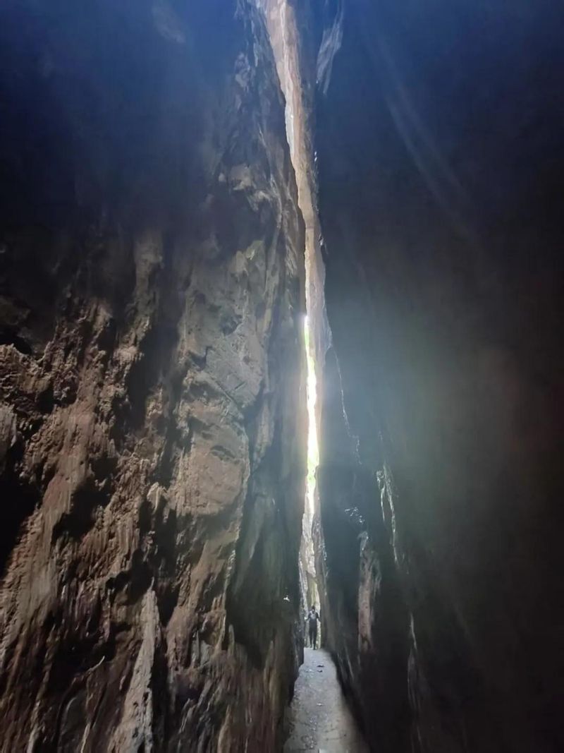 十渡蹦极多少钱