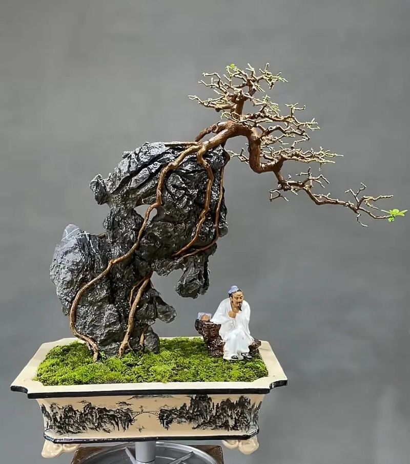 朴树种子的种植方法
