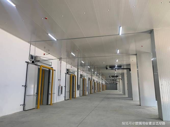 冷链药品相关知识培训
