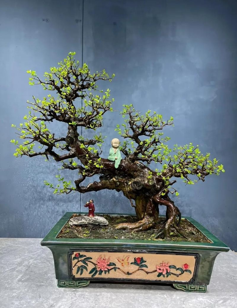 朴树种子的种植方法